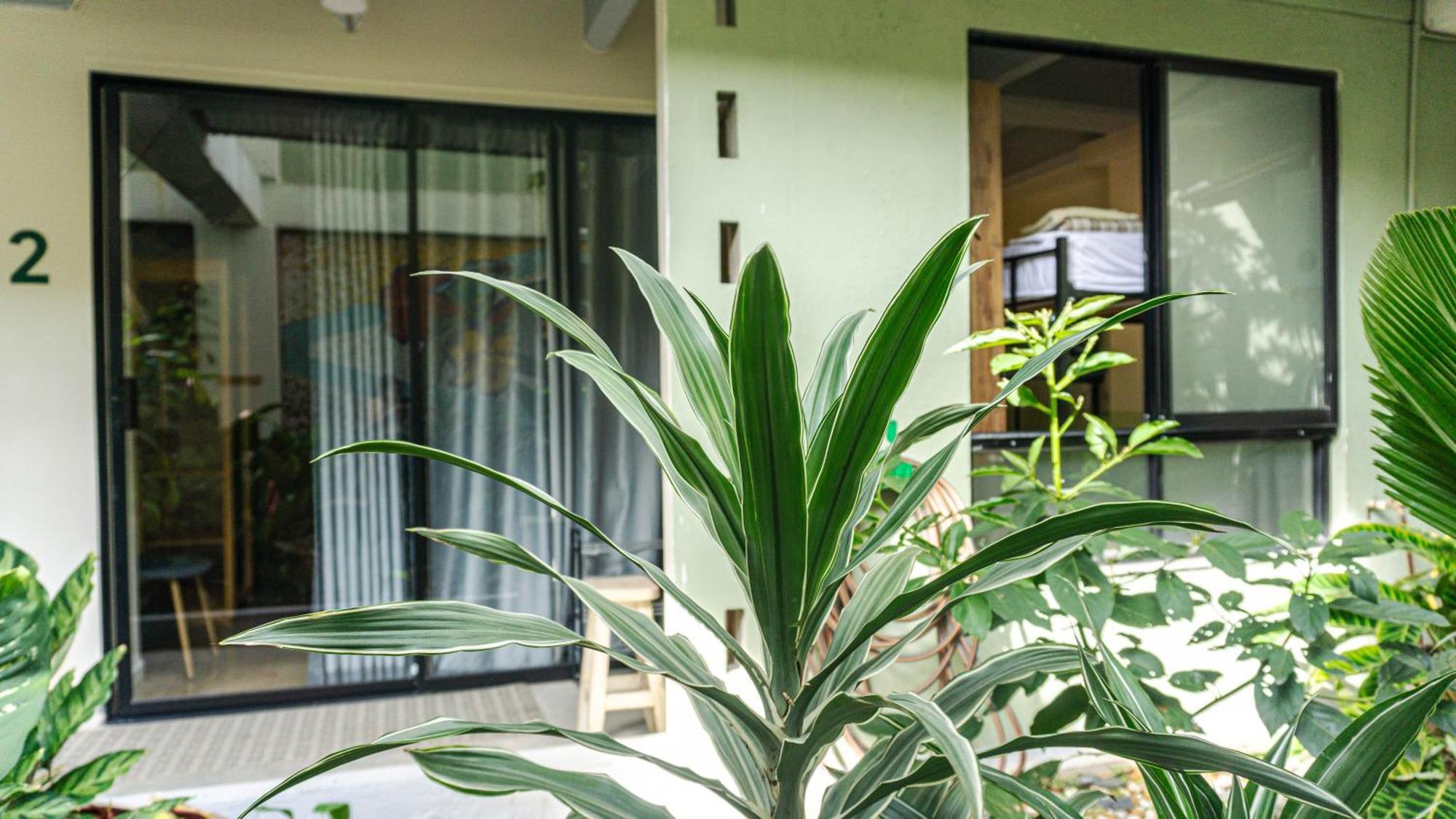 לינה וארוחת בוקר מדיין Selva House מראה חיצוני תמונה